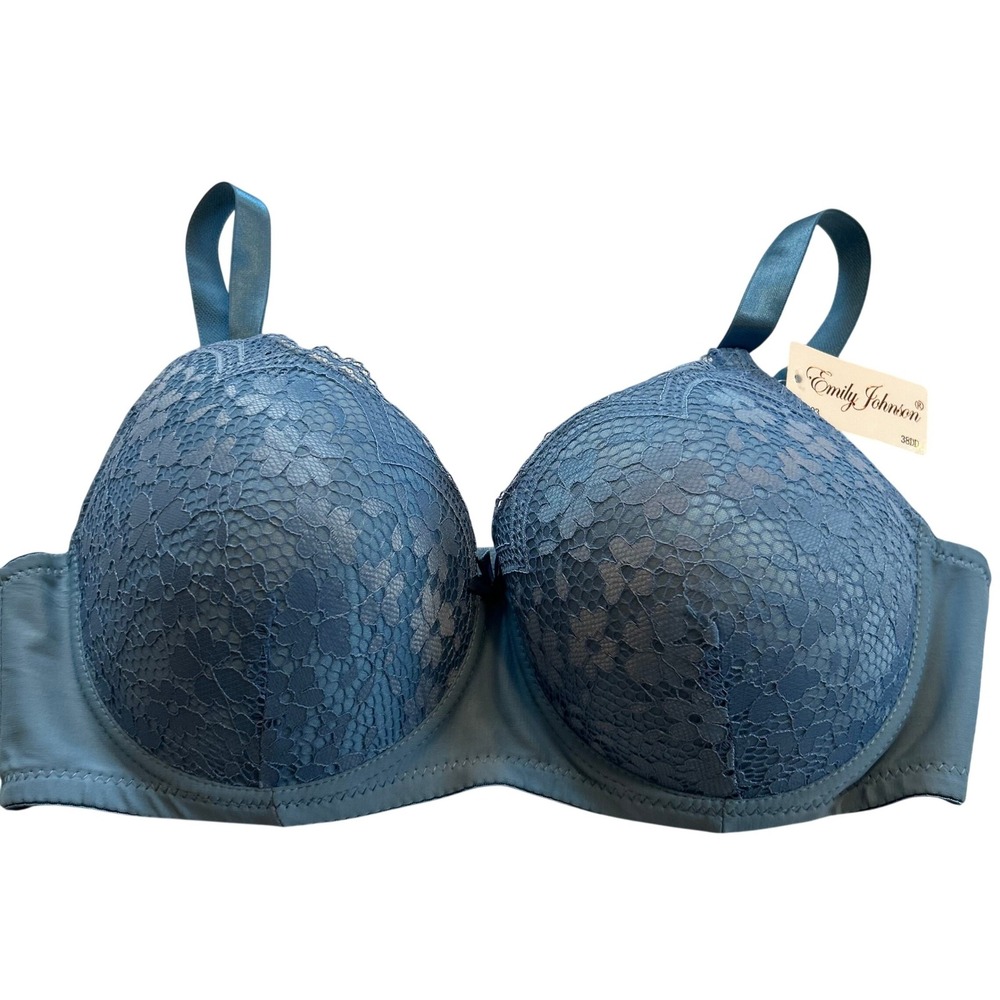 NWT Emily Johnson 3903 Blue Lace‎ Full Coverage Underwire Bra 38DD